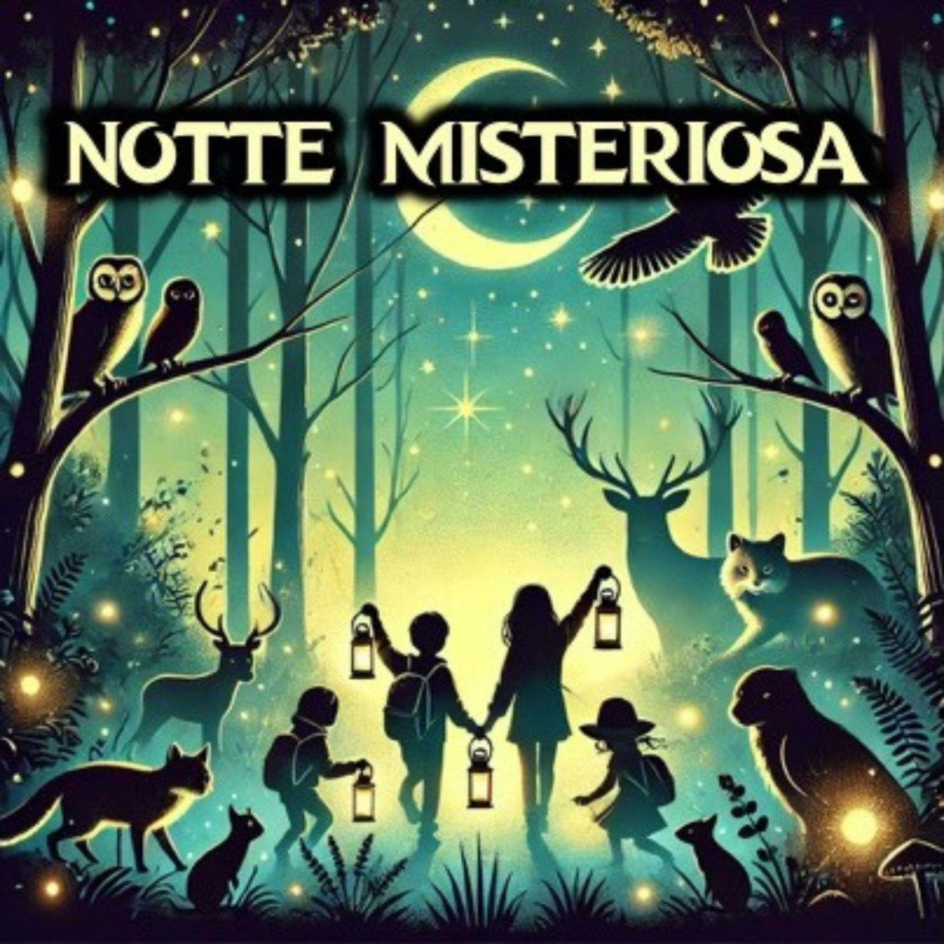 Copertina Notte misteriosa