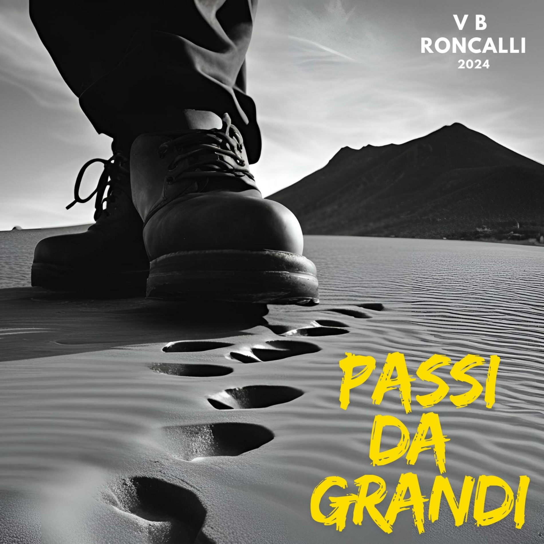 Copertina Passi da grandi
